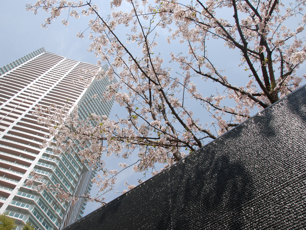 URBAN DOCK PARK CITY TOYOSU｜WORKS｜earthscape inc